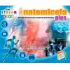 CEFA Juegos Y Juguetes Educativos|Anatomi Plus