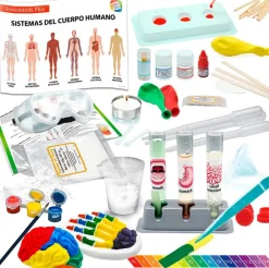 CEFA Juegos Y Juguetes Educativos|Anatomi Plus