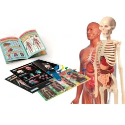 CLEMENTONI Ciencia y Juego Pack Laboratorio de Anatomía- Juegos Y Juguetes Educativos