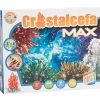 CEFA Juegos Y Juguetes Educativos|Cristal Max