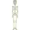 FIESTAS GUIRCA Halloween Esqueleto Fosforescente- Halloween