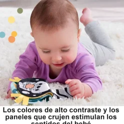 FISHER PRICE Primera Infancia Y Preescolar|Nutria Cojín Actividades 2 en 1