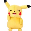 SELECCION DRIM Primera Infancia Y Preescolar|Pokémon Pikachu Peluche 23 cm